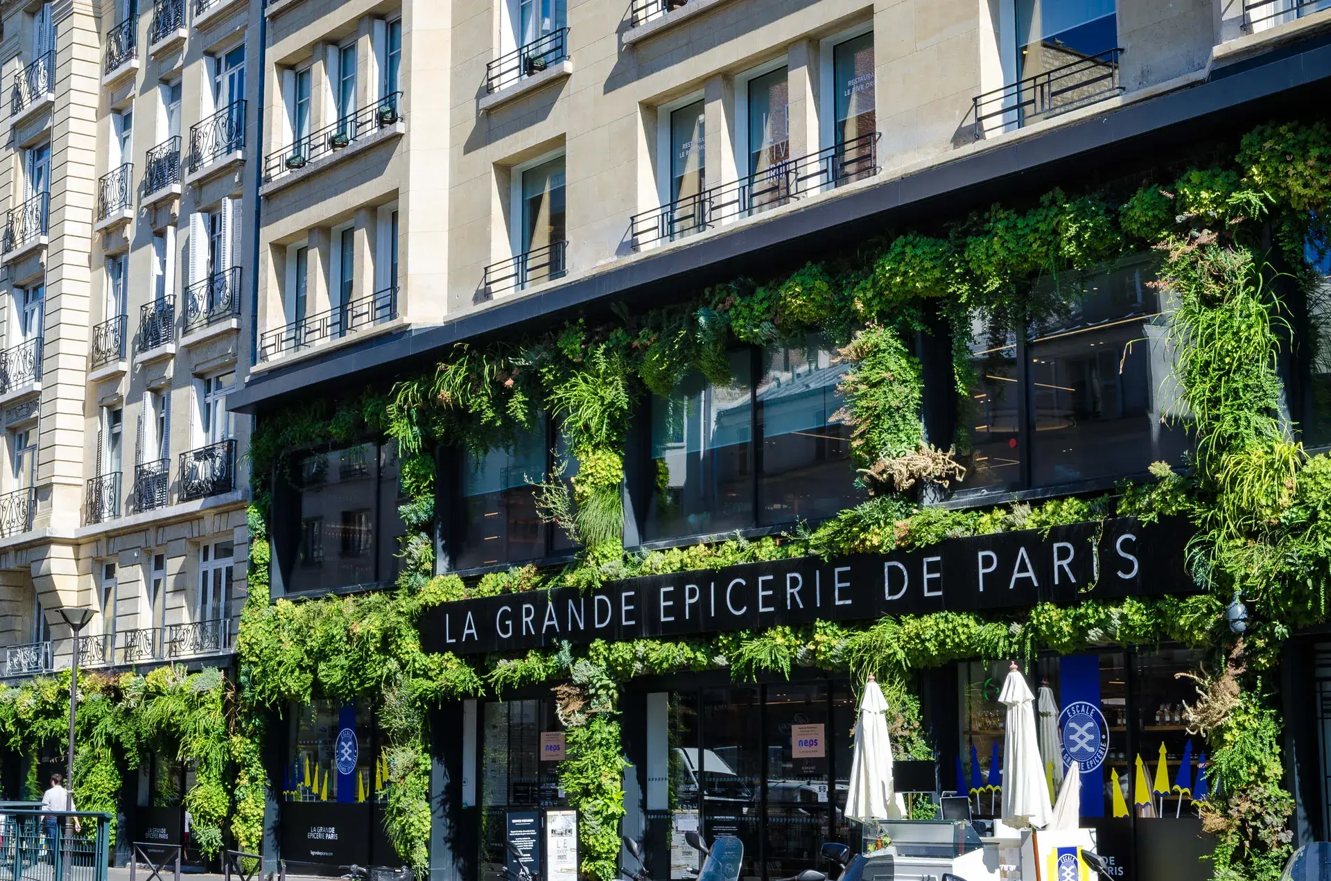 Façade végétalisée de La Grande Épicerie de Paris, quartier Muette Nord, Paris 16e