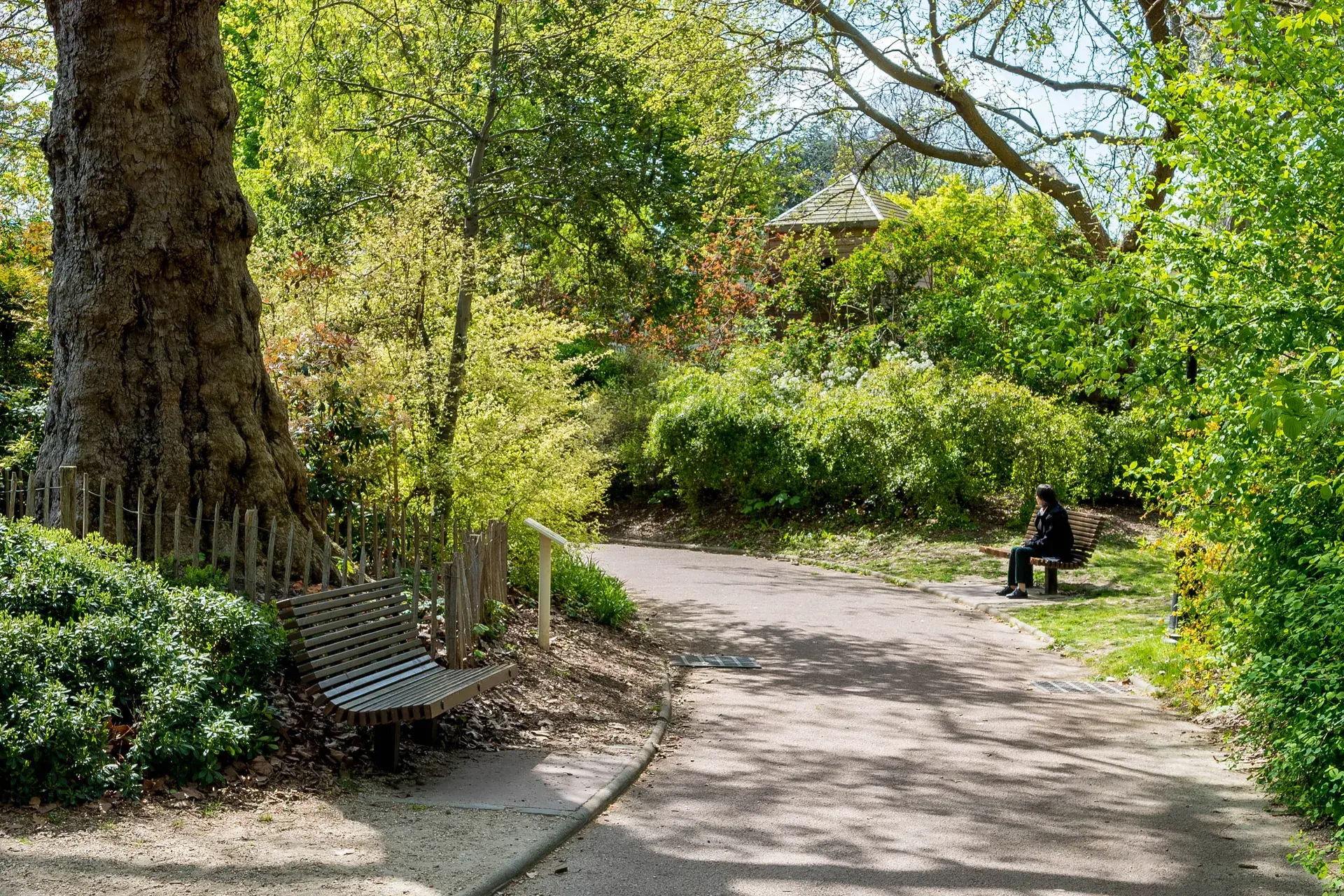 Allée sinueuse et bancs d'un parc arboré au printemps, quartier Les Couronnes à Courbevoie